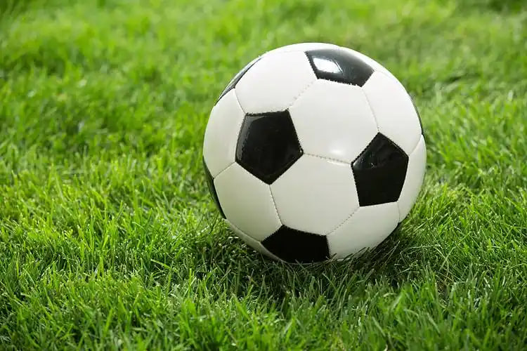 体育媒体工作者使用场景